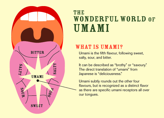 Image result for What Is Umami Flavor? Unveil The Fifth Taste infographics