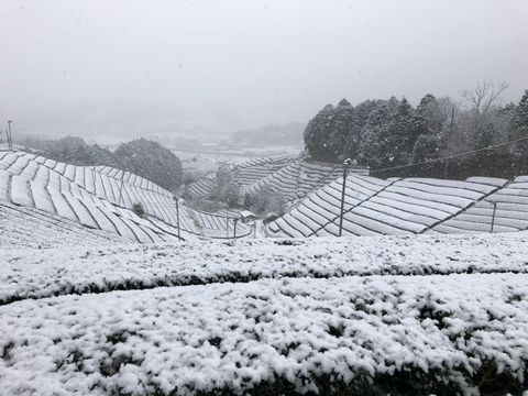 White Day in Japan: The Sweet Tradition of Reciprocal Valentine’s Gifts