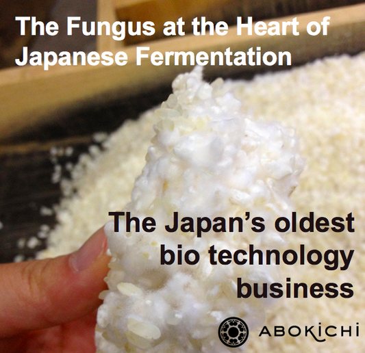 The Fungus at the Heart of Japanese Fermentation, and Cuisine - Koji-kin