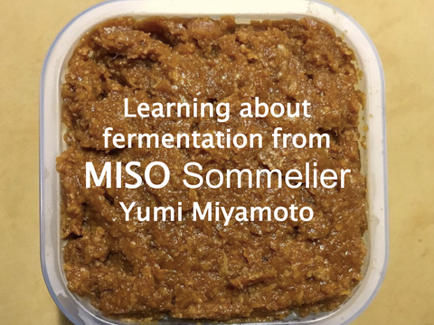 Basics about Fermentation – Abokichi