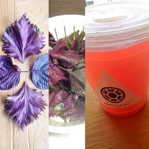 Red Shiso Ume-ade!